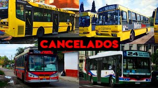 Colectivos CANCELADOS [upl. by Malynda]