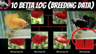 BETTA BREEDING DATA  BETTA LOG FOR KNOWLEDGE AND REFERENCE [upl. by Refotsirhc138]