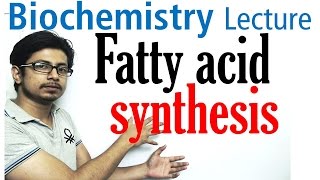 Fatty acid synthesis [upl. by Sitruk425]