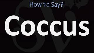 How to Pronounce Coccus CORRECTLY [upl. by Relluf]