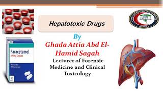 Hepatotoxic agents Toxicology Lecture [upl. by Lai]