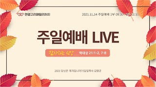 20211114감사하라 역대상 21130 [upl. by Iemaj]