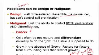 Pathophysiology of Cancer [upl. by Neelya]