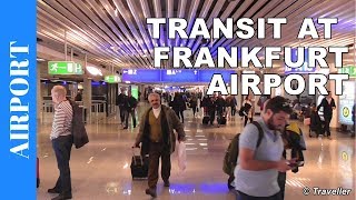 TRANSIT WALK AT FRANKFURT Airport FRA Terminal 1  Connection Flight Transfer Arriving amp Departing [upl. by Ihsakat828]