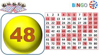 90Ball  Bingo Caller Game1 New [upl. by Niwle829]