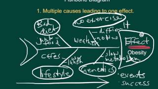 Cause and Effect Fishbone Diagrams [upl. by Anehsak]