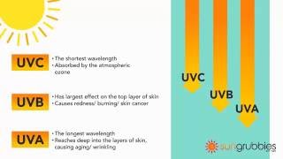 UVA vs UVB Sun Protection Guide uva uvb [upl. by Dlnaod839]