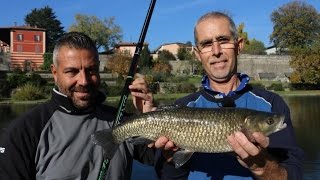 Trabucco TV  Pesca a bolognese sul fiume Oglio [upl. by Berni1]