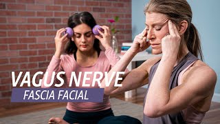 Fascia Facial Massage for Relaxation [upl. by Ahcorb584]