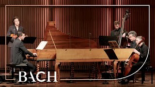 Bach  Concerto for two harpsichords in C major BWV 1061  CortiHenstra  Netherlands Bach Society [upl. by Nayarb585]