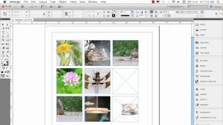 InDesign Multiple Frame Tips [upl. by Tate]