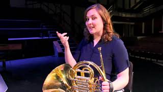 Intro to the Orchestra French Horn [upl. by Oigimer706]