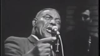 Howlin Wolf quotHow Many More Yearsquot live [upl. by Eneiluj]