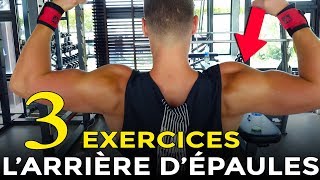 3 EXERCICES POUR SE MUSCLER LARRIÈRE DES ÉPAULES EN MUSCULATION [upl. by Ttocs]