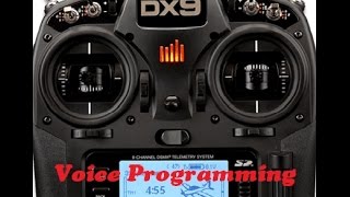 Spektrum DX9 custom sound setup and switch assignment [upl. by Ennovyahs]