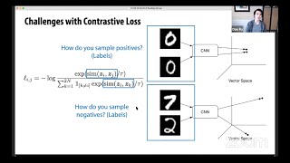 SimCLR A Simple Framework for Contrastive Learning of Visual Representations [upl. by Terencio]