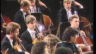 Leonard Bernstein in Salzau  Schostakowitsch Symphonie Nr 1 VHS [upl. by Leunad530]