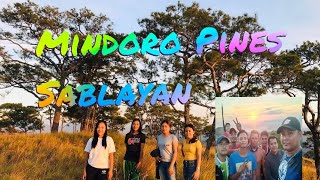 MINDORO PINES SABLAYAN [upl. by Rush841]