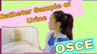 Catheter Sample of Urine CSU OSCE 2021 [upl. by Sardella878]