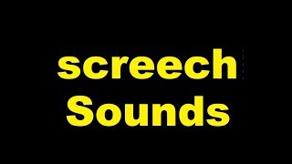 Screech Sound Effects All Sounds [upl. by Adlin]