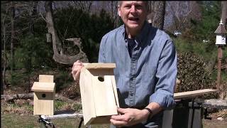 How to Build Blue Bird House [upl. by Nitsraek]