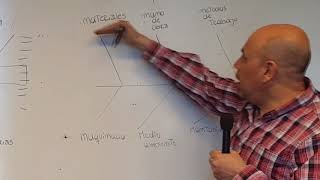 DIAGRAMA DE ISHIKAWA [upl. by Bledsoe]