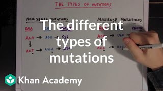 The different types of mutations  Biomolecules  MCAT  Khan Academy [upl. by Ainessej]