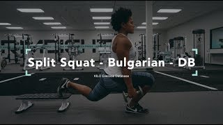 Split Squat  Bulgarian DB  KILO Exercise Database [upl. by Loziram]