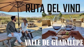 Visita los mejores viñedos de Valle de Guadalupe en Baja California La Ruta del Vino [upl. by Uyr]