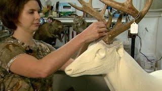 NC Now  Animal Art Taxidermy in NC  UNCTV [upl. by Craddock]