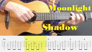 Moonlight Shadow  Mike Oldfield  Fingerstyle Guitar Tutorial Tab [upl. by Cleti]