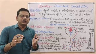 Diuretic Part01 Basic Introduction of Diuretics  Diuretics  What is Diuretic  Diuretic Agents [upl. by Amirak]