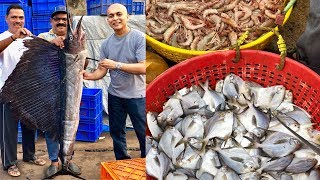 Mangalore’s LARGEST SEAFOOD MARKETIncredible Variety Of SeafoodMangalore BUNDERAffordable Fresh [upl. by Nauj835]