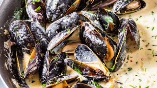 MUSSELS In AMAZING Tarragon CREAM SAUCE [upl. by Eiramyllek664]