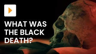 What Was The Black Death [upl. by Eloken]