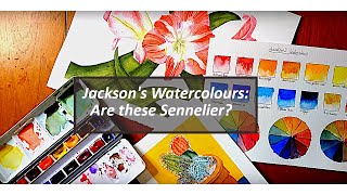 Watercolour Review Jacksons [upl. by Dex]