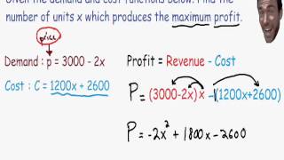 Optimization  Maximum Profit [upl. by Ylliw]