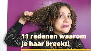 BREEKBAAR HAAR 11 REDENEN WAAROM JE HAAR BREEKT  tips ♥️ [upl. by Einnahc]