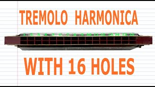 How to Play a Tremolo Harmonica with 16 Holes [upl. by Nwadrebma]