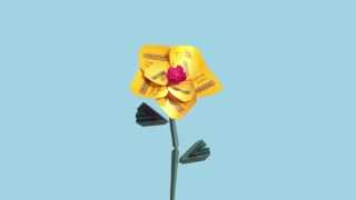 Twinings Advert 2016  Twinings Flowers [upl. by Oman]