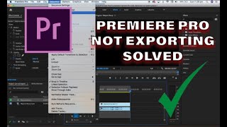 Premiere Pro not Exporting SOLVED 2020 [upl. by Richlad]