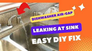 ✨ DISHWASHER DRAINS WATER AT AIR GAP  EASY FIX ✨ [upl. by Akimak]