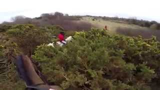 Equestrian Foxhunting in Ireland 2014 Full length Version [upl. by Ylluz328]