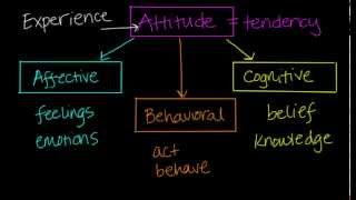 Components of Attitudes [upl. by Maril]