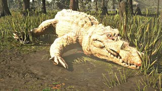 Red Dead Redemption 2  Legendary Giant Crocodile Hunt [upl. by Llenroc]