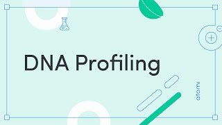 Y1112 Biology DNA Profiling [upl. by Liponis]