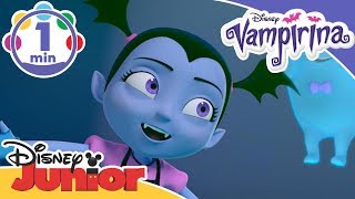 Vampirina  Transylvanian Surprise Song  Disney Junior UK [upl. by Anastasia]