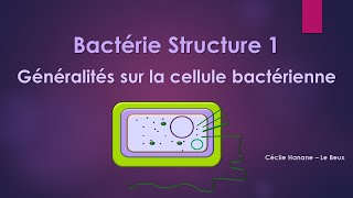 Bactérie Structure 1 BACTERIE [upl. by Shorter]