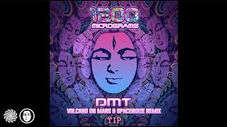 1200 Micrograms  DMT Volcano On Mars amp Spacenoize Remix [upl. by Marrilee]