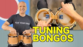 How to Tune Bongos  Tutorial [upl. by Ibocaj]